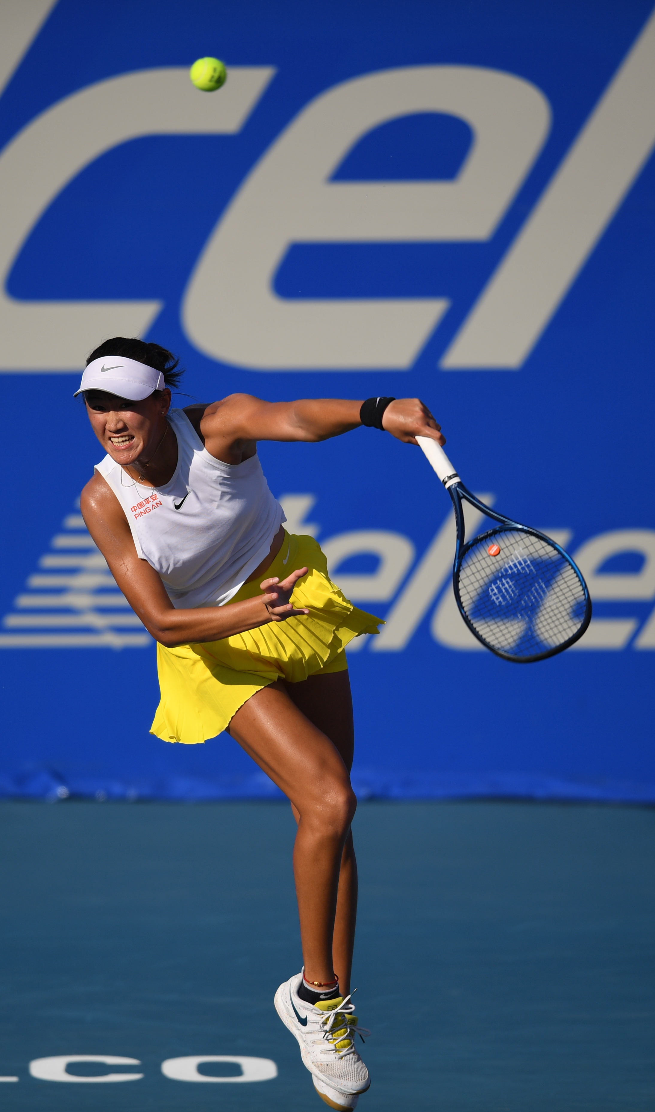 迷的讨论度 迷的讨论度