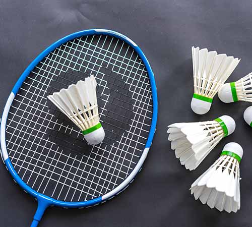 不仅展现了 不仅展现了