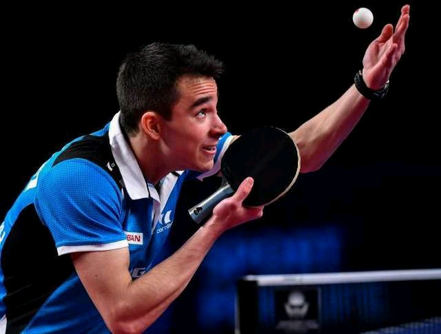 屑猎人被熊 屑猎人被熊